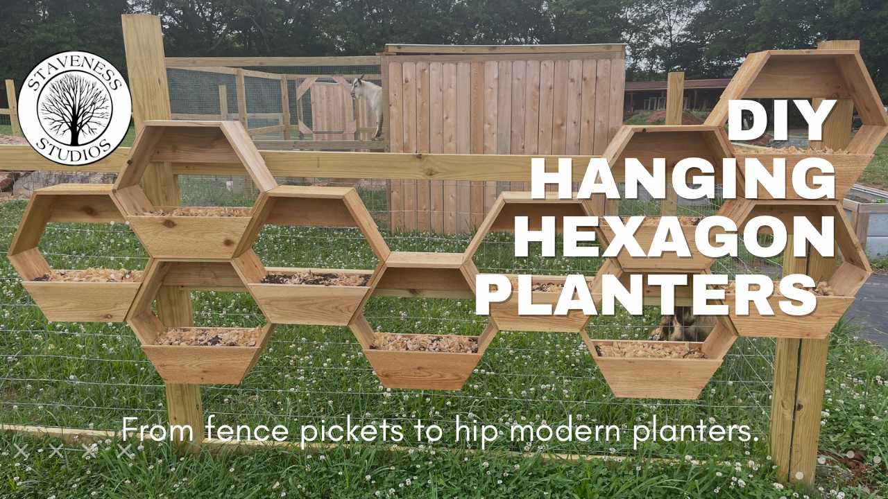 Staveness Studios Hexagon Hanging Planter