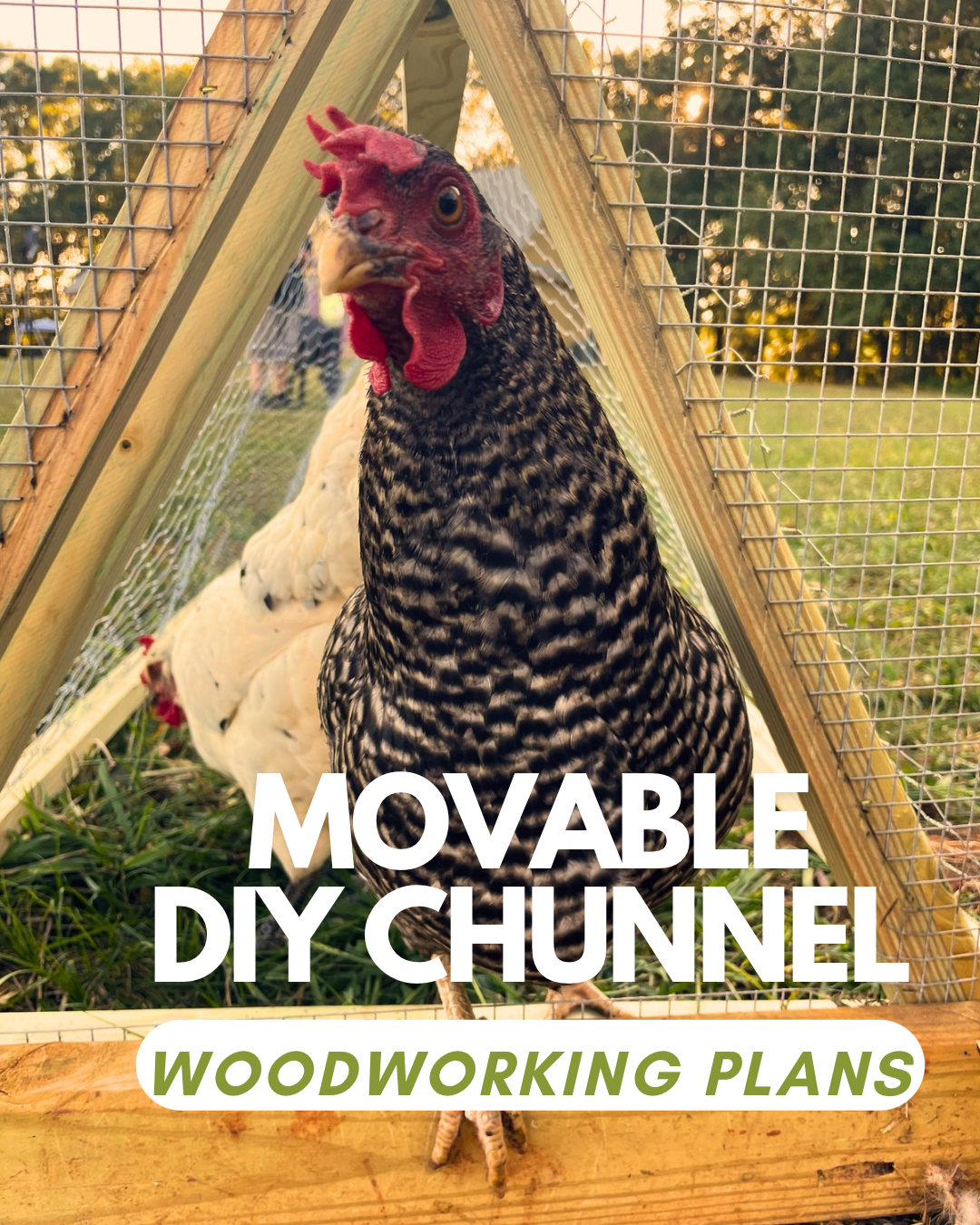Moveable Chicken Tunnel (Chunnel) Plans by Staveness Studios