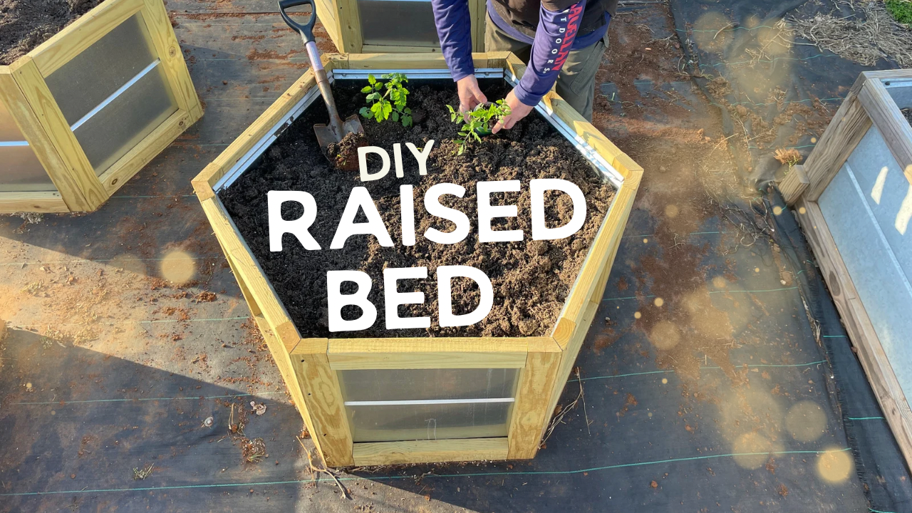 Hexagon Raised Garden Bed Plans (PDF Download)