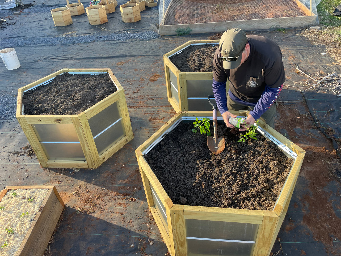 Hexagon Raised Garden Bed Plans (PDF Download)
